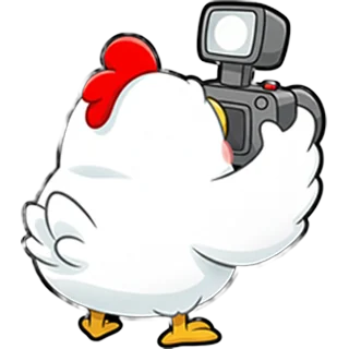 Kamera-Huhn – Chicken Road Race