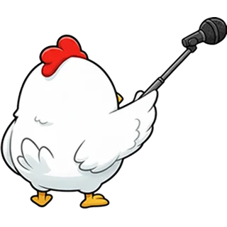 Reporter – Chicken Road Race