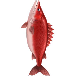 Roter Fisch â Ice Fish